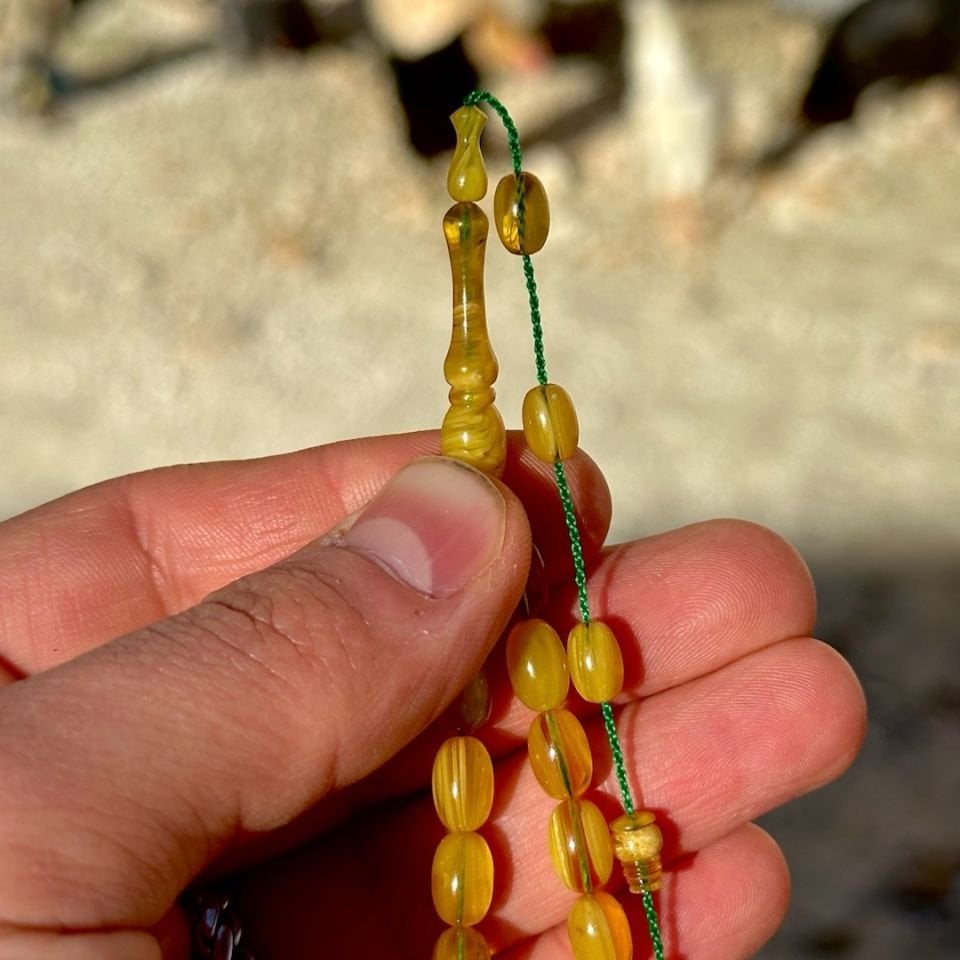 Bürokrat Boyda Katalin Tesbih