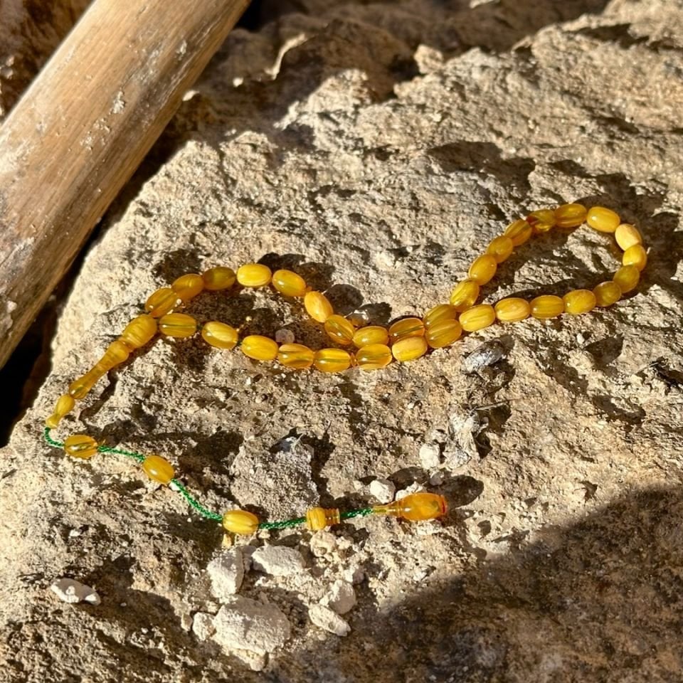 Bürokrat Boyda Katalin Tesbih